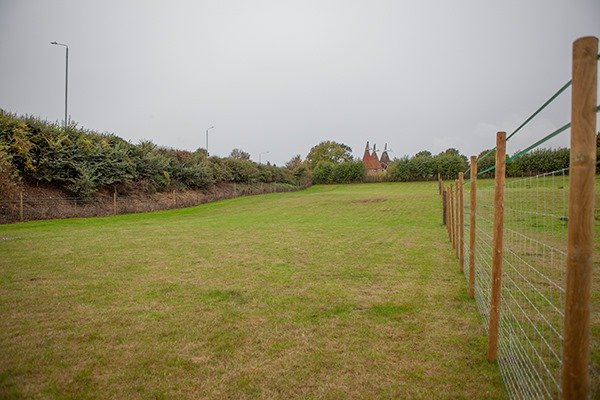 Paws Unleashed Dog Field, Rainham in Kent