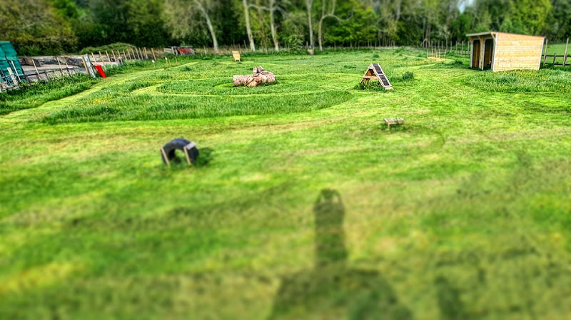 Petersfield Dog Park, Froxfield in Hampshire