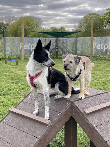 Petplan Dog Adventure Park in Poole