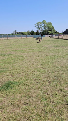 Petsercise Enclosed Dog Paddock, St Neots in Cambridgeshire