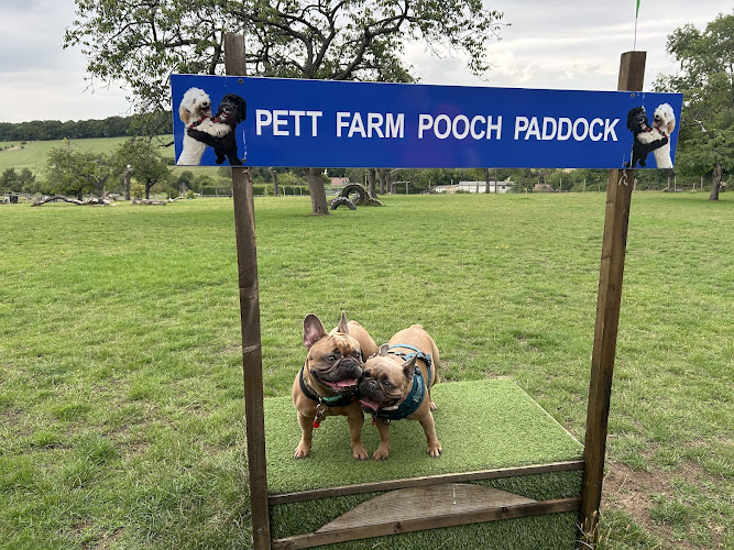 Pett Farm Pooch Paddock, Dog Field,Sittingbourne in Stockbury