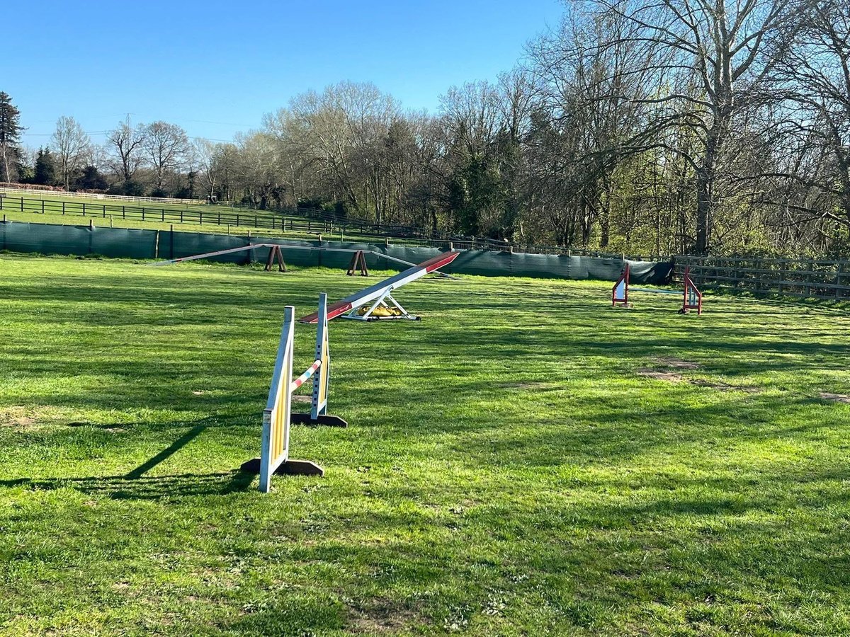 Mugford’s Meadow, Chertsey in Surrey