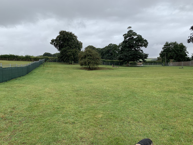 Pockthorpe Dog Park, Kilham in East Riding of Yorkshire