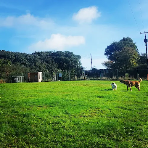 Polgoda Dogs Exercise Field, Zelah in Cornwall
