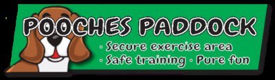 Pooches Paddock Crediton in Devon