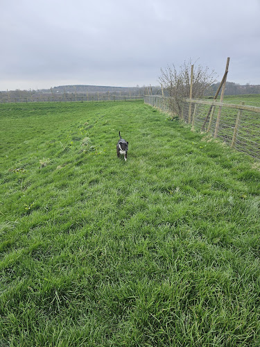 Pooches Play Paddocks (Dog Fields) Ashington in Northumberland