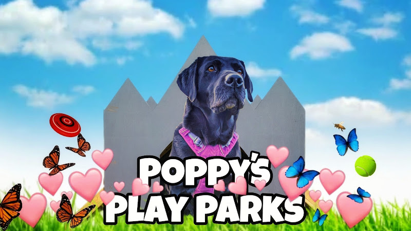 Poppy’s Play Park (field 2), Deal in Kent