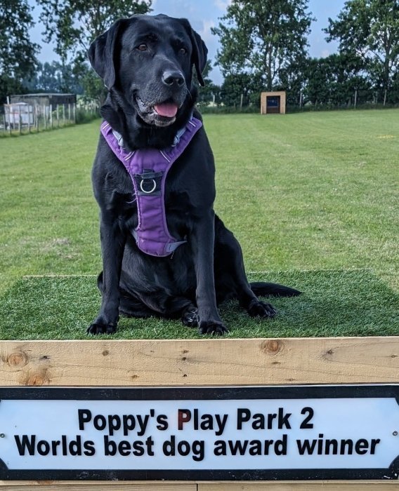 Poppy’s Play Park (field 1), Deal in Kent