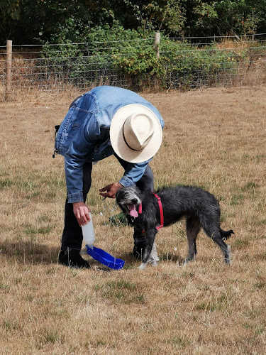 Potter’s Paddock Dog Field, Sudbury in Essex