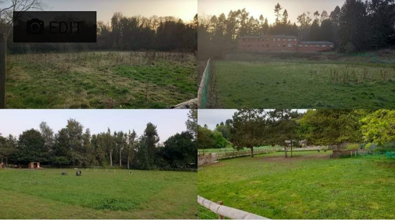 Prestwood Doggy Play Park, Stourbridge in South Staffordshire