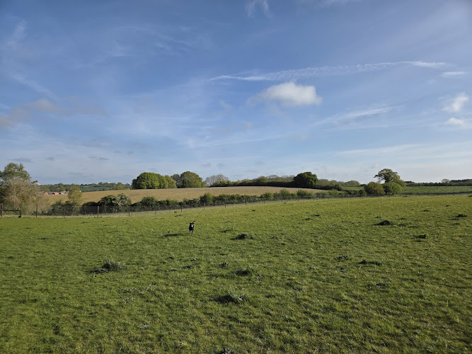Prospect Meadow Dog Field, Sudbury in Suffolk