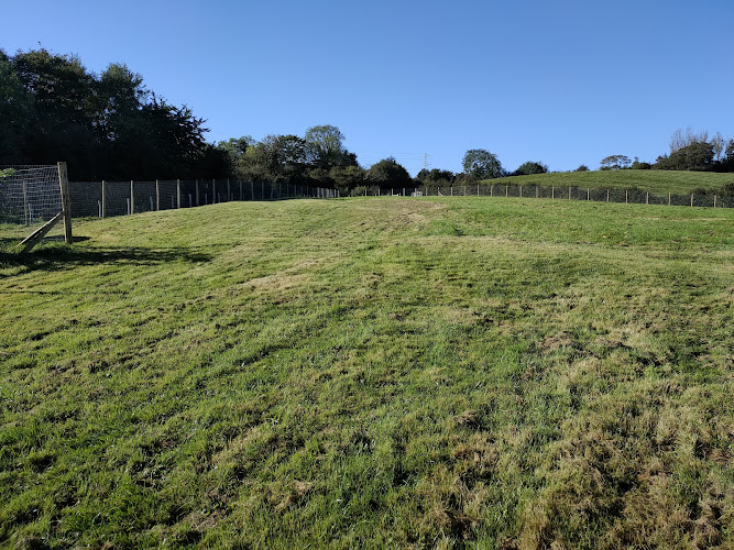 Pups Paddock Secure Dog Walking Field, Stockton-on-Tees in Stockton