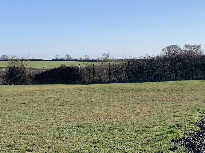 Rachel’s Happy Hounds, Dog Field, in Cambridgeshire