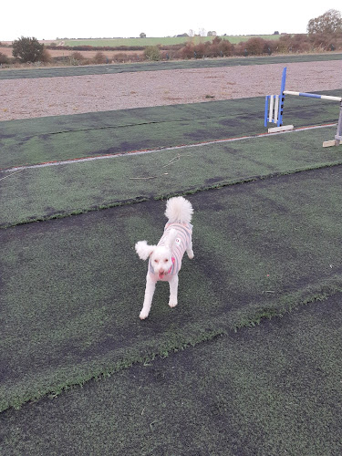 Radcliffe-on-Trent Dog Walking Field, Nottingham in Nottingham