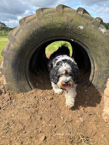 Redgrave Dog Park in Bury St Edmunds