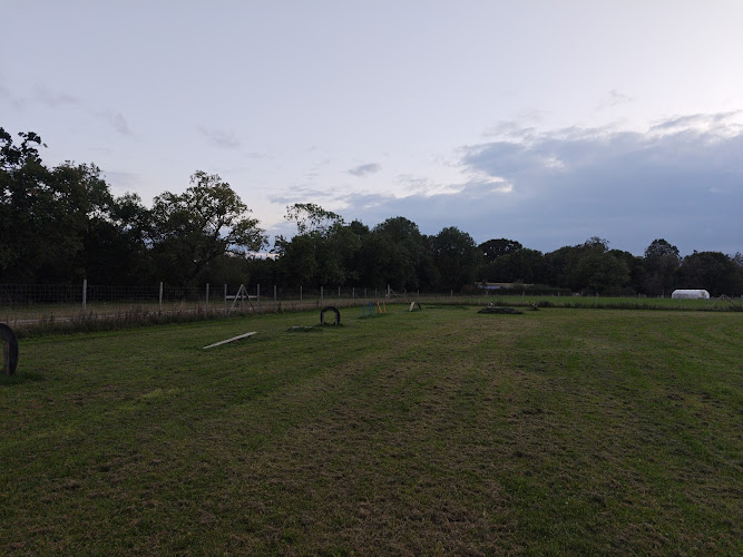 Reg and Ted Enclosed Dog Field, Falfield in South Gloucestershire