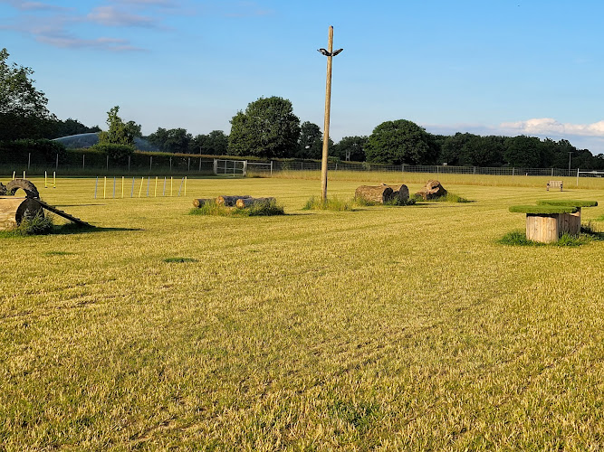 Riddlesworth Dog Park, Diss in Diss
