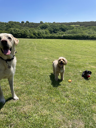 Rocky Meadow in Wadebridge