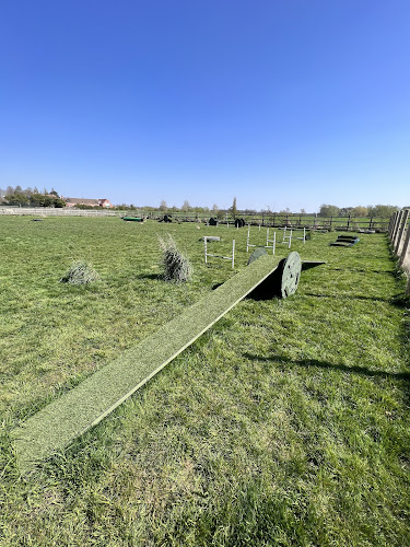 Rosie's Ruffs Dog Paddocks in Lincoln