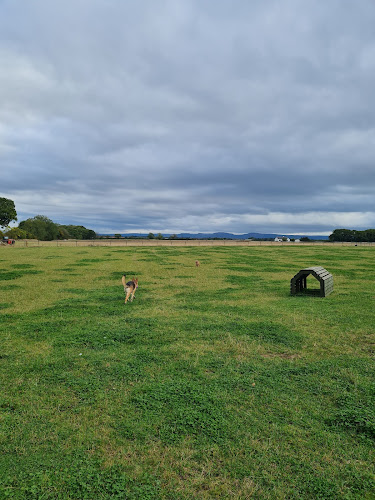 Roxloe Dog Adventure Field, Eaglescliffe in Stockton-on-Tees