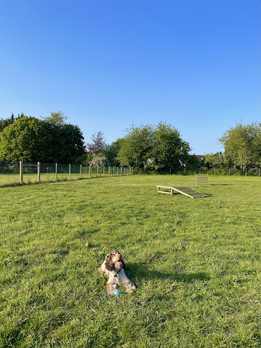 Royal Hounds Dog Parks (Arena 1), Gravesend in Kent