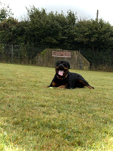 RSPCA Secure Dog Exercise Field in Newquay