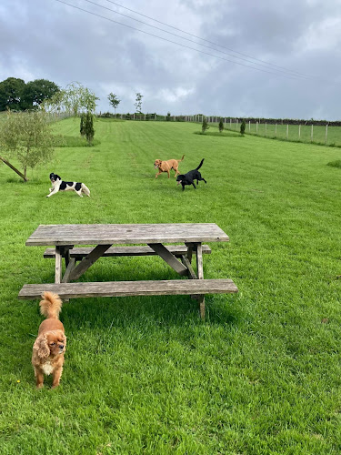 Ruddy Paws in Staffordshire Moorlands