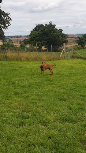 Run Free - Bishopton in Scotland