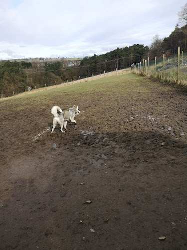 Run Free - Castlecary in Strathclyde and Glasgow