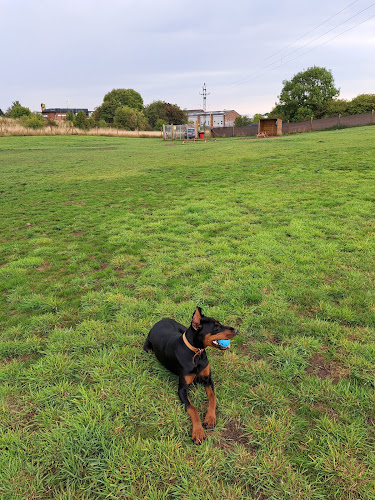 Run Free Dog Field - Eskbank Field, Dalkeith in Midlothian
