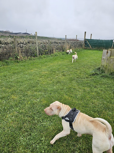 Run Free Dog Fields - Kingsford Field, Kingswells in Aberdeen City