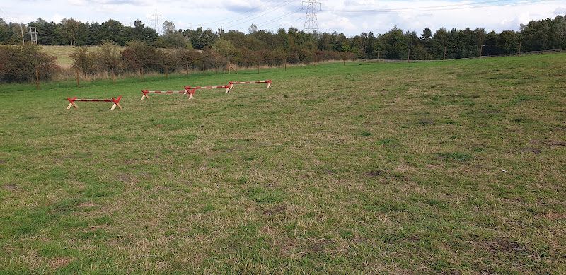 Run Free Dog Fields - Lochend Field, Gartcosh in Glasgow City