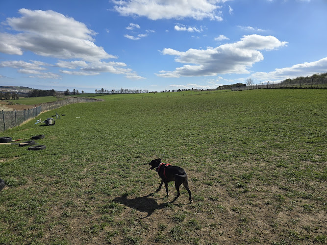 Run Free Dog Fields - North Field, Inverurie in Aberdeenshire