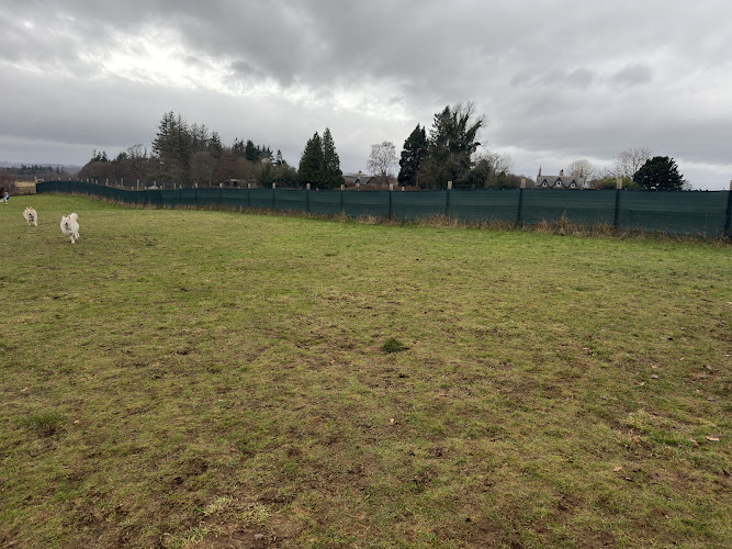 Run Free Dog Fields - Perth in Perth