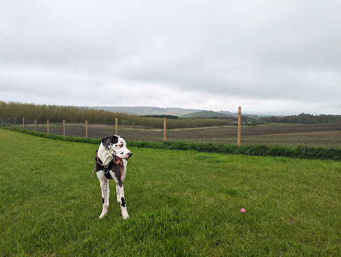 Run Free Dog Fields - Queens Field, Kingseat in Fife