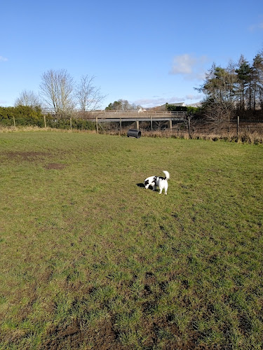 Run Free Dog Fields - Stirling in Stirling