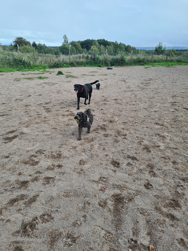 Run Free - Houston in Ayrshire