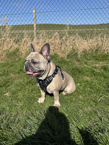 Run Free - Milngavie Balmore in Balmore