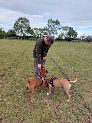 Run Free Redisham (Dog Walking Field - Pre-Book Only) in Lowestoft
