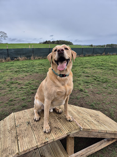 Run Free - Winchburgh in Broxburn