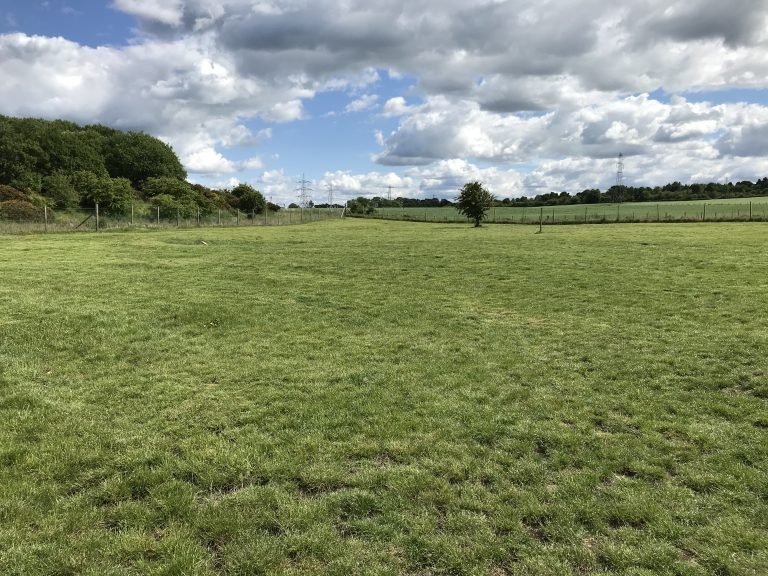 Run Free Dog Fields - Flemington Field, Cambuslang in South Lanarkshire