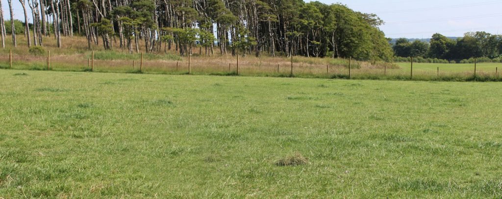 Run Free Dog Fields - Woodend Field, Gartcosh in Glasgow City