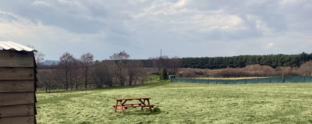 Run Free Dog, Anguston Field, Peterculter in Aberdeen City
