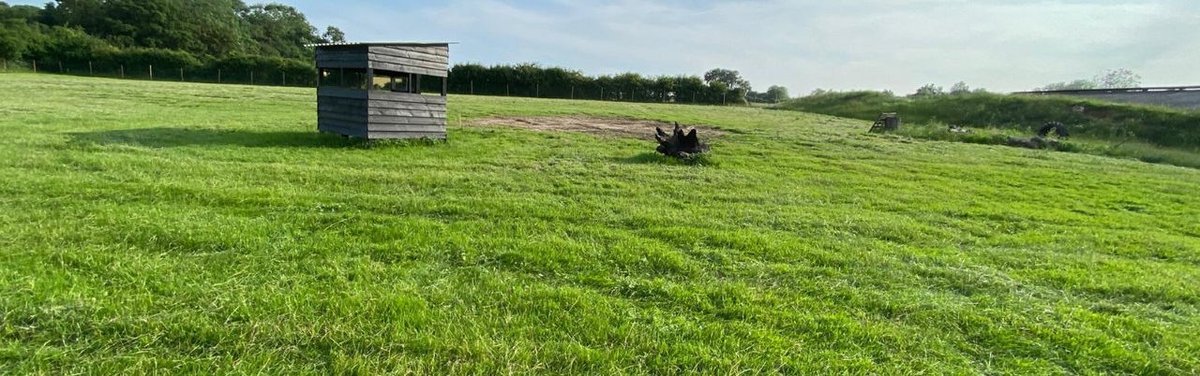 Safe & Secure Dog Walking in East Suffolk