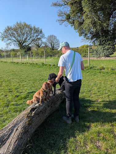 Salhouse Dog Park in Norwich