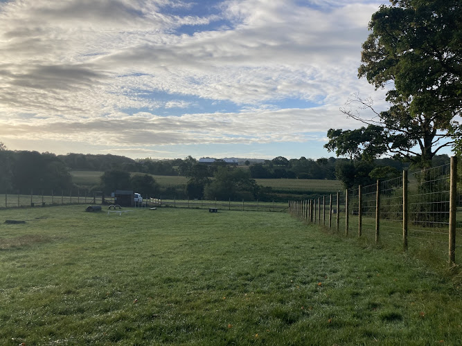 Samlesbury Secure Dog Run, Samlesbury in Preston