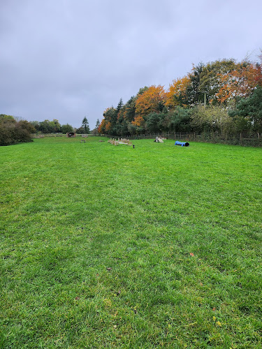 Sammy’s Secure Dog Field, Richmond in North Yorkshire