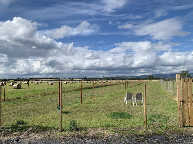 Samson’s dog park in Falkirk