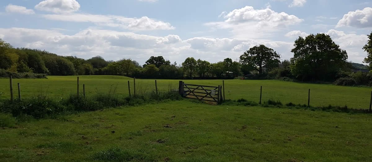 Lower Upham Field, Dog Field, Upham in Hampshire