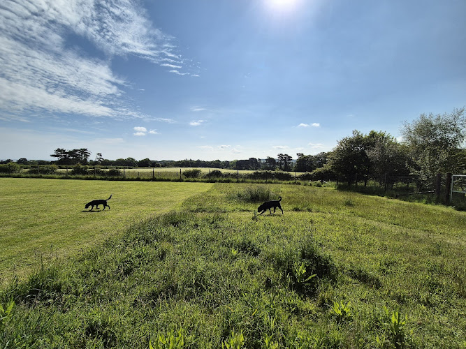 Seaview Dog Meadow, Wiveton [REVIEW] in North Norfolk